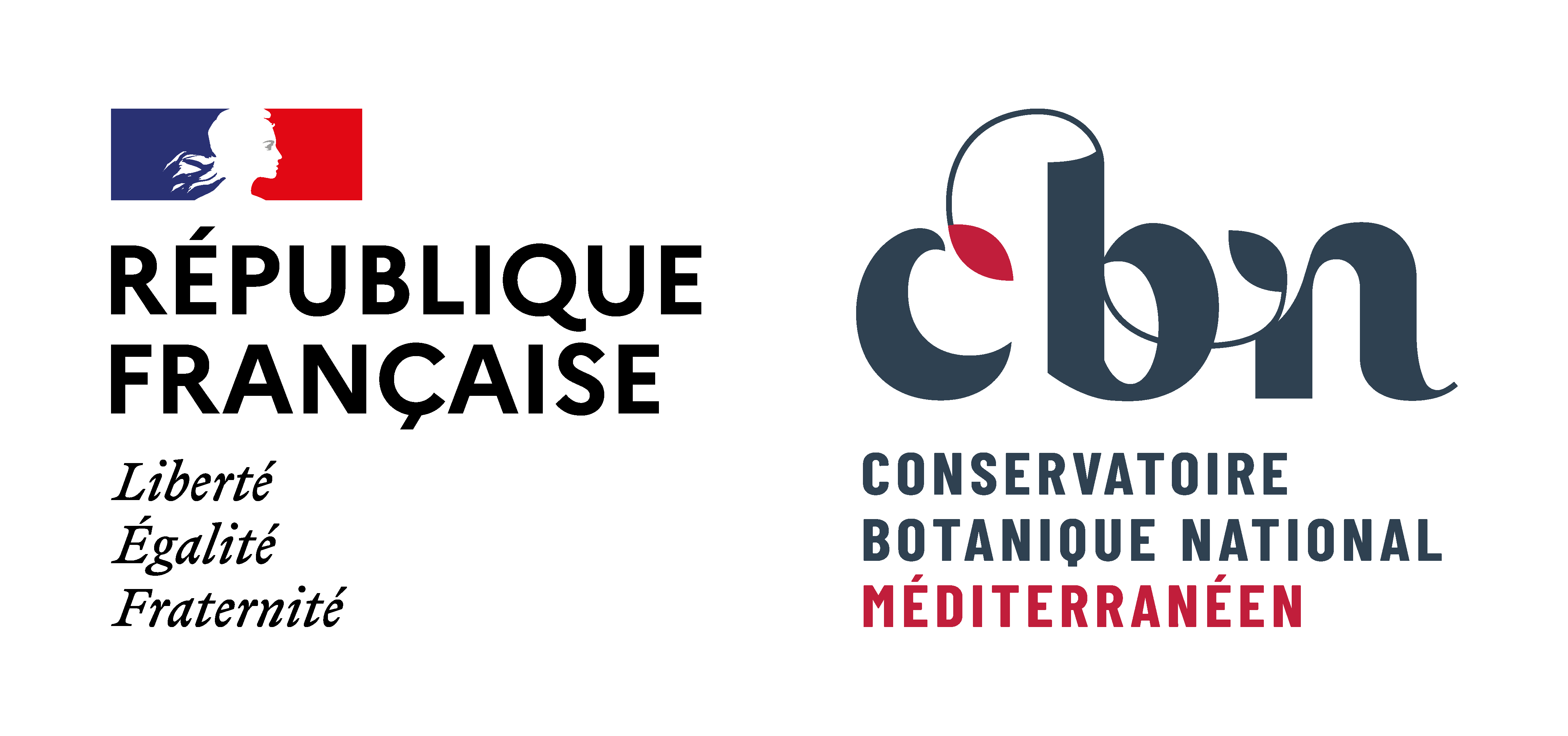 Logo CBNMed